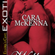 Image for article titled My Hot, Consensual Introduction to the Rape Fantasy Romance Novel